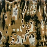 Img 1261 994x1024